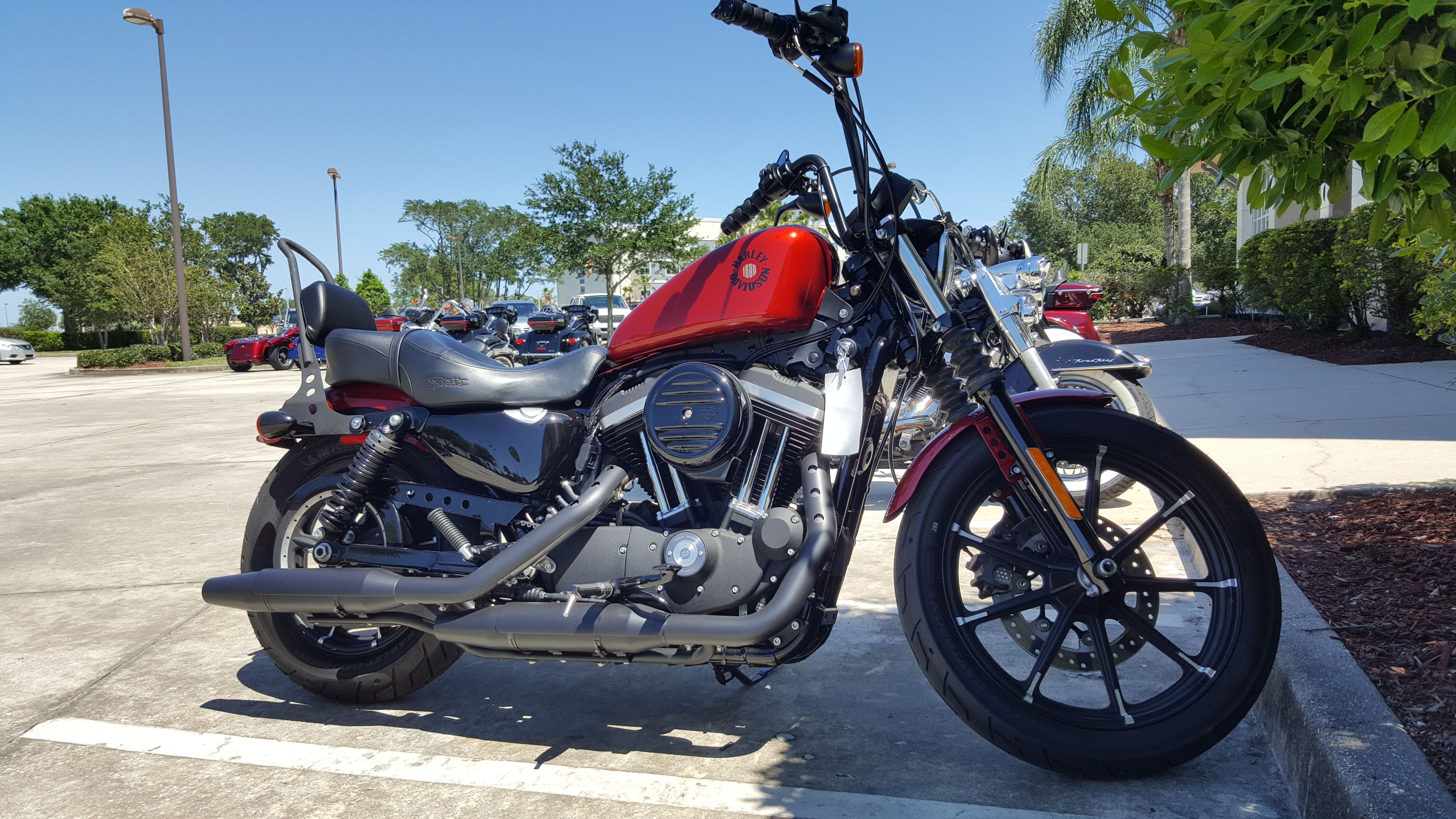 Harley Davidson Sportster Iron 8 Protection Engine Frame Spoiler Bobber Black Archives Midweek Com