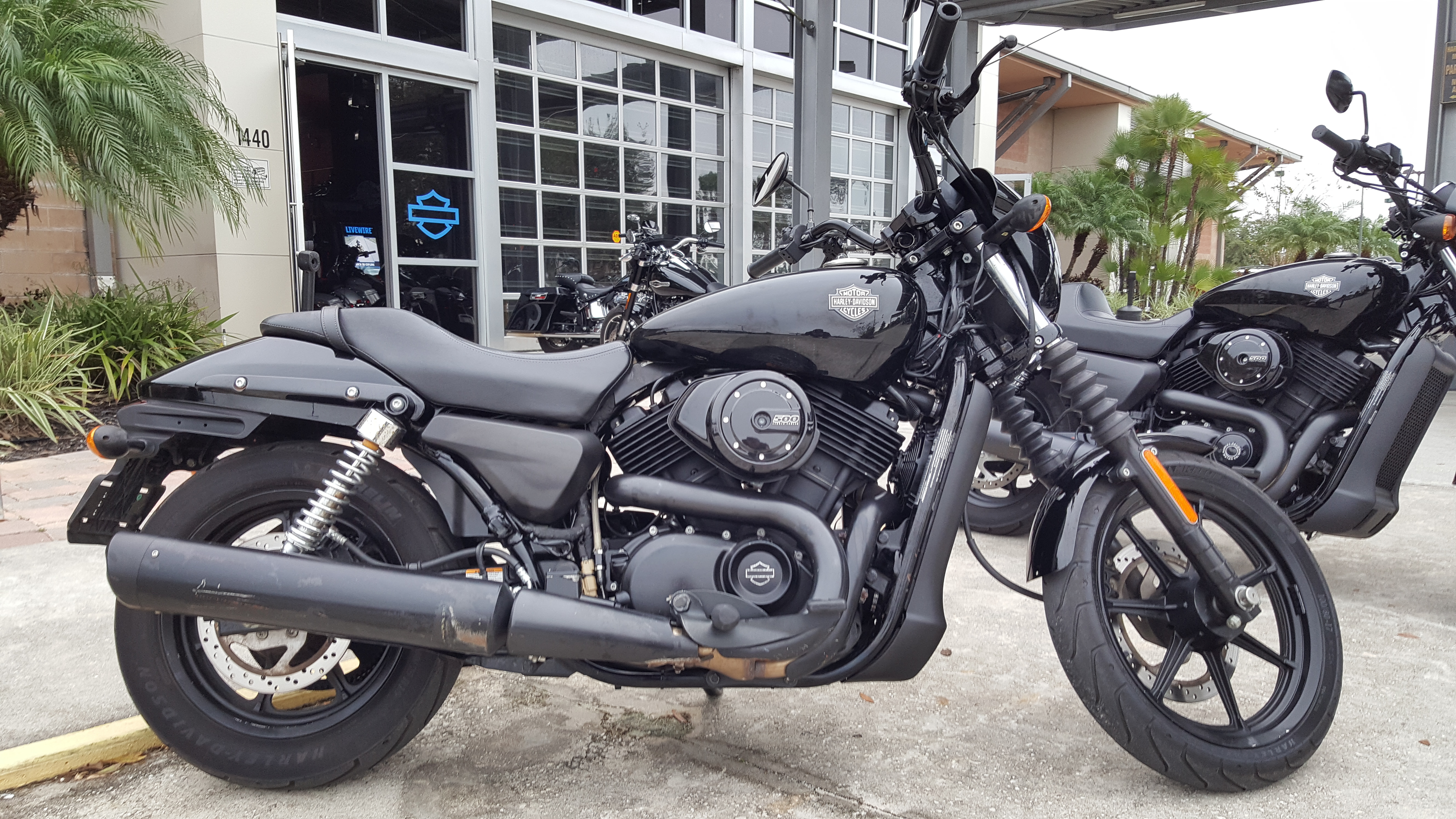 Pre-Owned 2015 Harley-Davidson Street 500 in Palm Bay ...